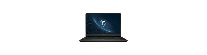 MSI
